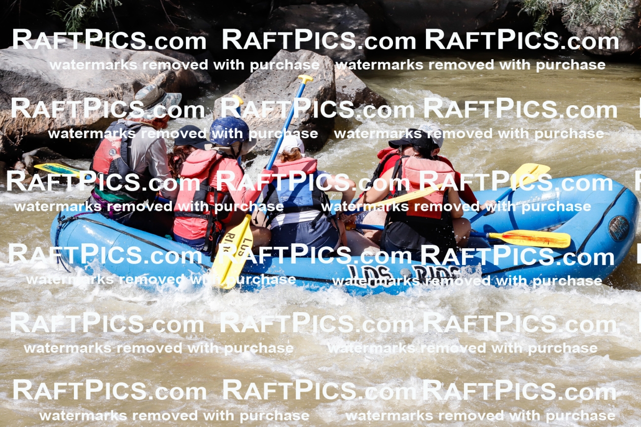 028453_RaftPics_August_17_LosRios_Racecourse_PM_Nate_TC_