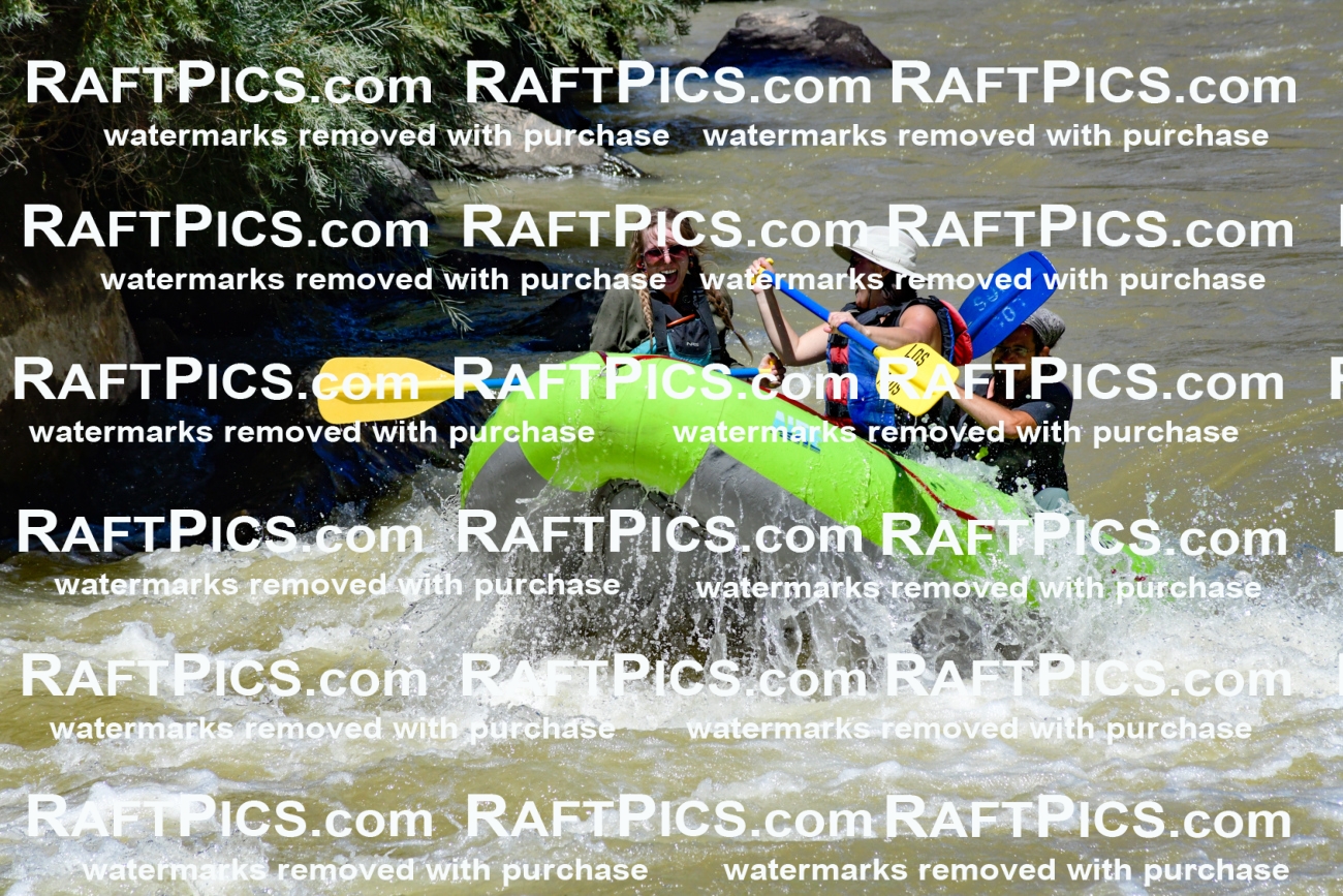 009575_Raftpics_August-17__LOS_RIOS__Racecourse_PM_KA_Shay_KLA8846