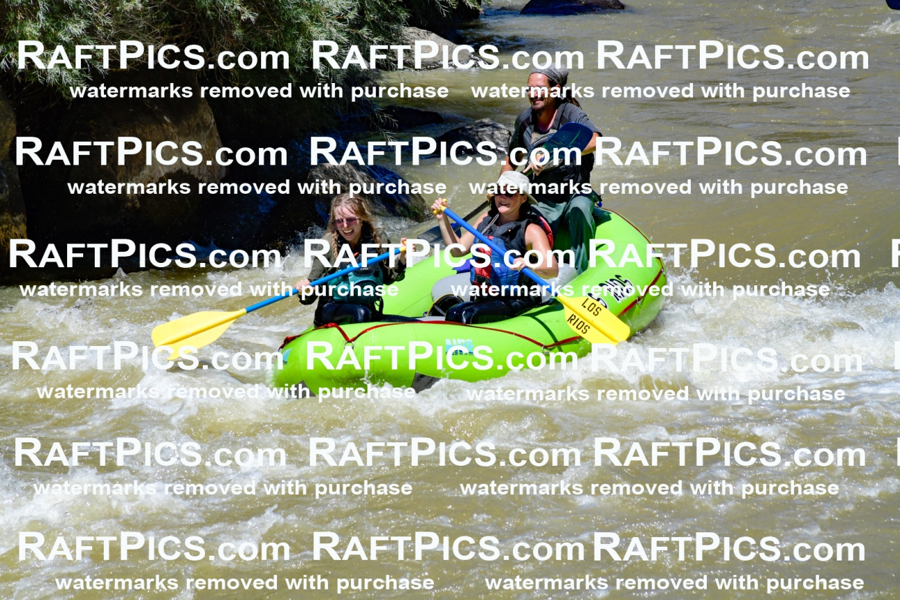 009579_Raftpics_August-17__LOS_RIOS__Racecourse_PM_KA_Shay_KLA8850