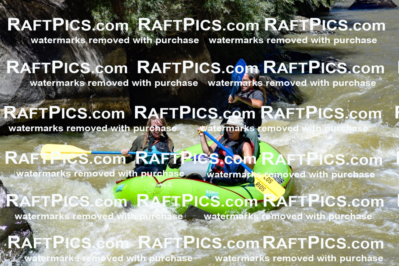 009581_Raftpics_August-17__LOS_RIOS__Racecourse_PM_KA_Shay_KLA8852