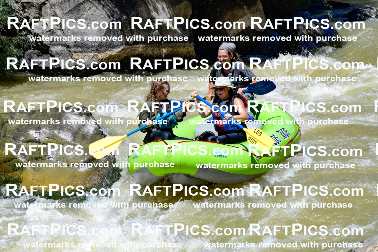 009585_Raftpics_August-17__LOS_RIOS__Racecourse_PM_KA_Shay_KLA8856