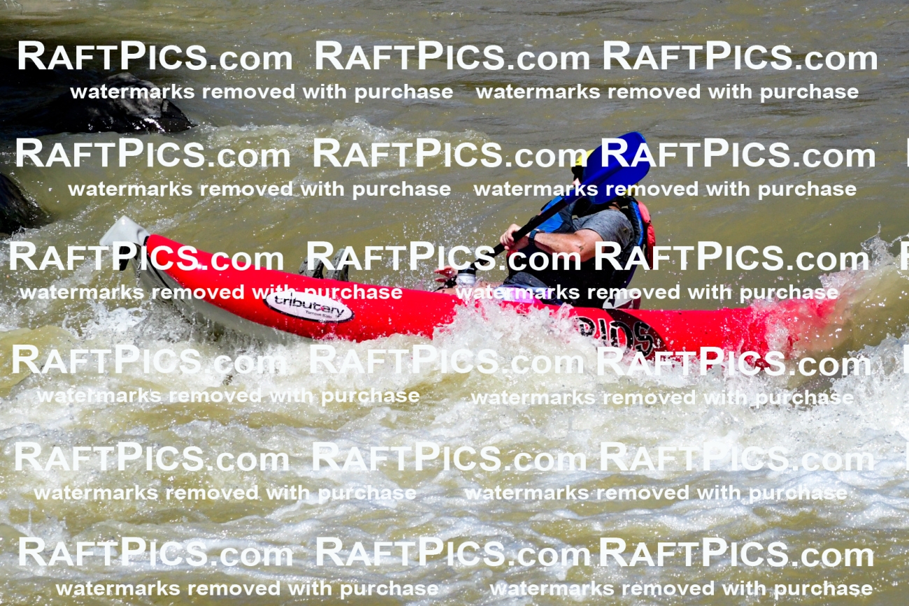 009598_Raftpics_August-17__LOS_RIOS__Racecourse_PM_KA_Funyak_KLA8869