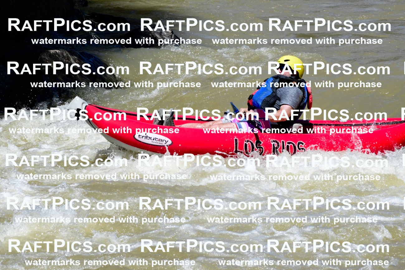 009600_Raftpics_August-17__LOS_RIOS__Racecourse_PM_KA_Funyak_KLA8871