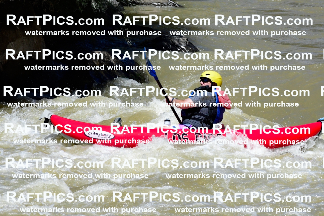 009603_Raftpics_August-17__LOS_RIOS__Racecourse_PM_KA_Funyak_KLA8874