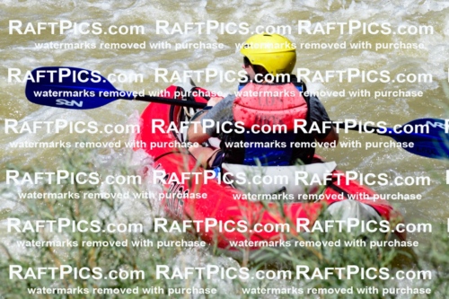 009622_Raftpics_August-17__LOS_RIOS__Racecourse_PM_KA_Funyak_KLA8893