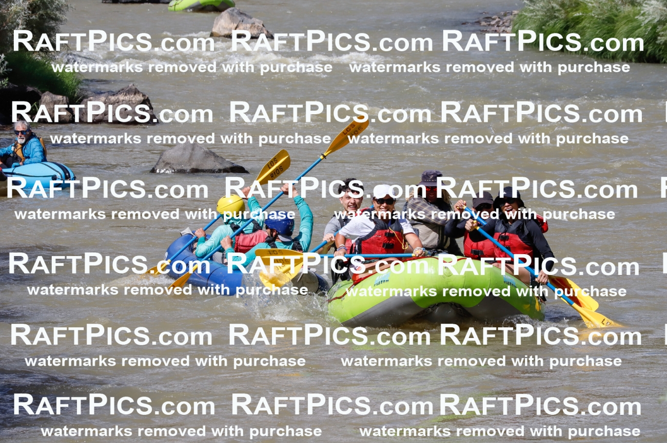 028707_RaftPics_August_18_LosRios_Racecourse_PM_Zach_TC_