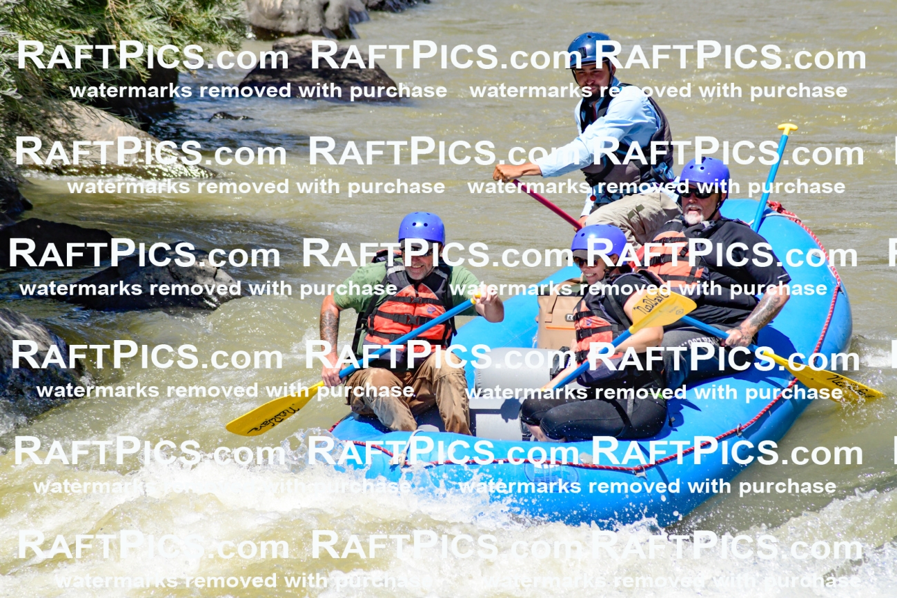 009709_Raftpics_August-18__NEW_WAVE__Racecourse_PM_KA_Rui_KLA9069