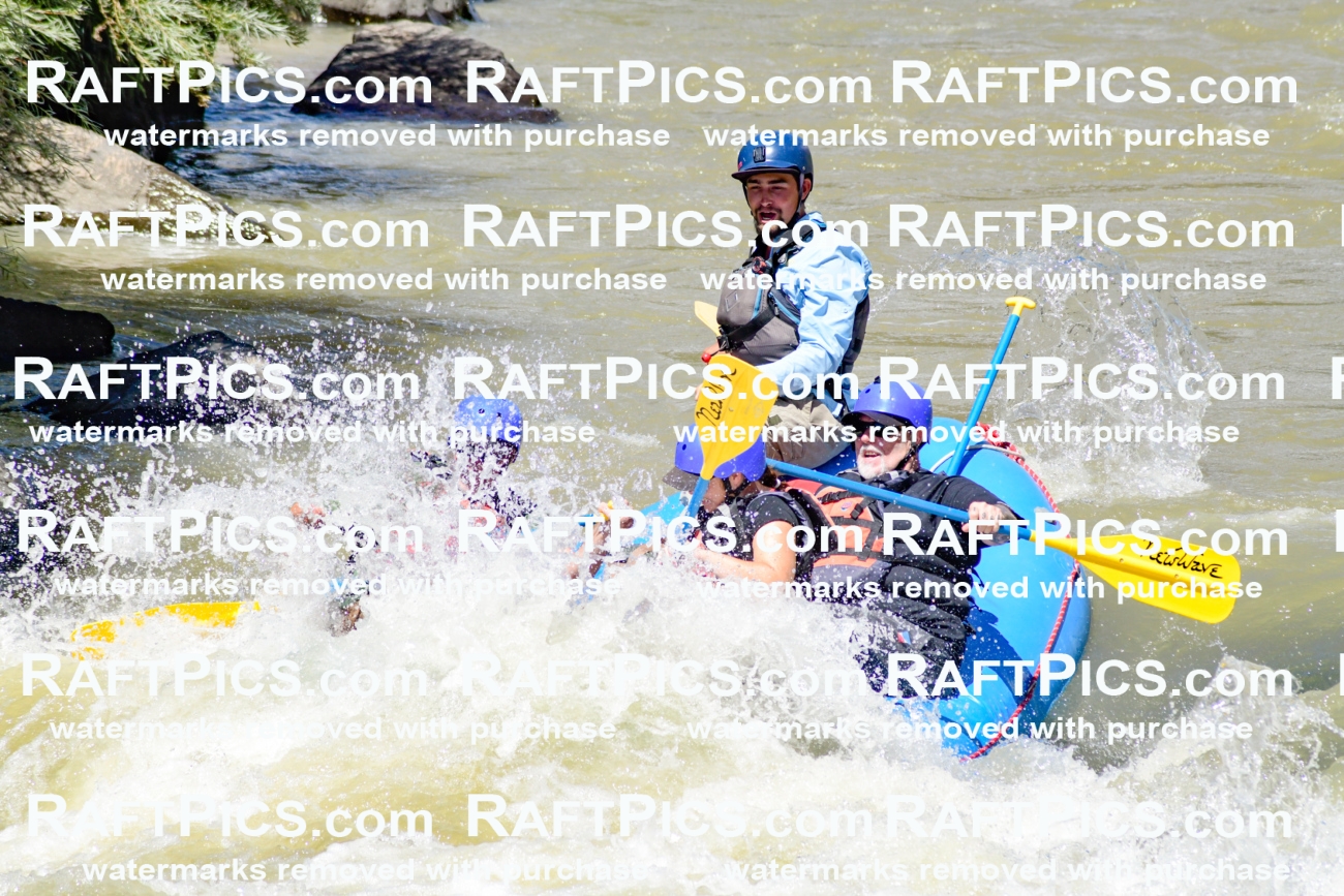 009711_Raftpics_August-18__NEW_WAVE__Racecourse_PM_KA_Rui_KLA9071