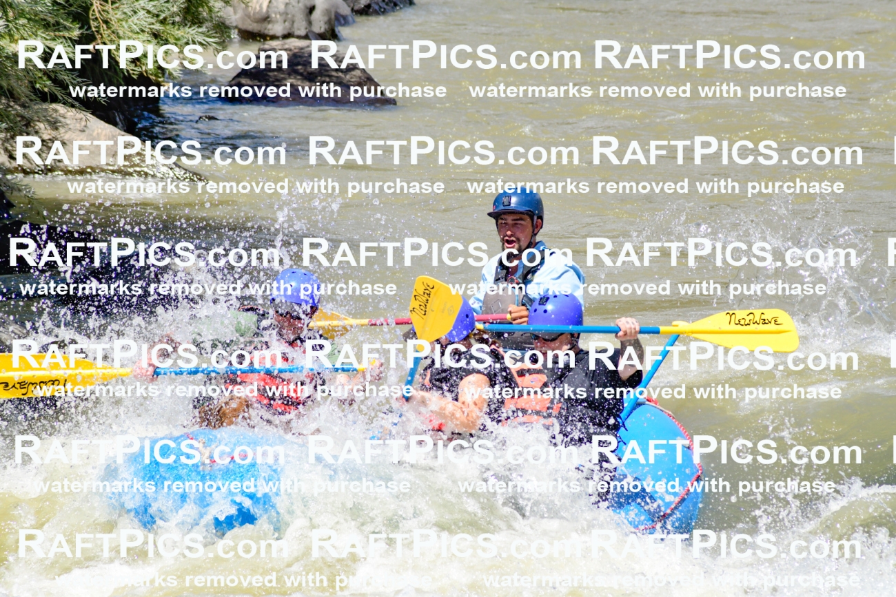 009712_Raftpics_August-18__NEW_WAVE__Racecourse_PM_KA_Rui_KLA9072