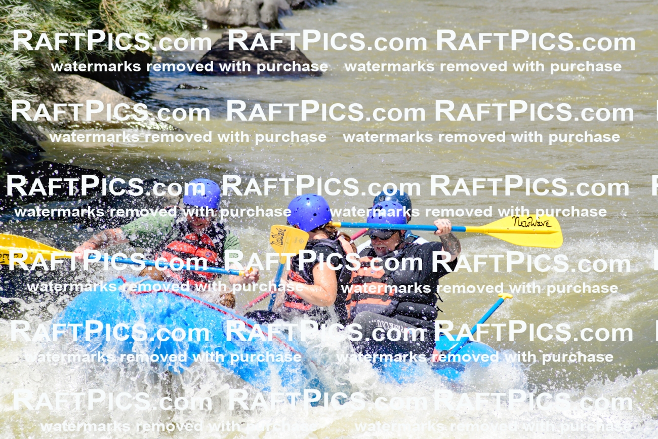 009713_Raftpics_August-18__NEW_WAVE__Racecourse_PM_KA_Rui_KLA9073