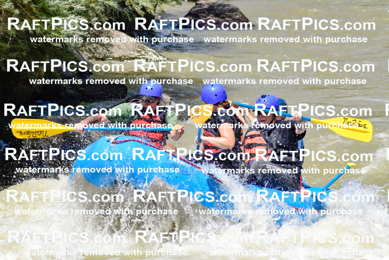 009714_Raftpics_August-18__NEW_WAVE__Racecourse_PM_KA_Rui_KLA9074