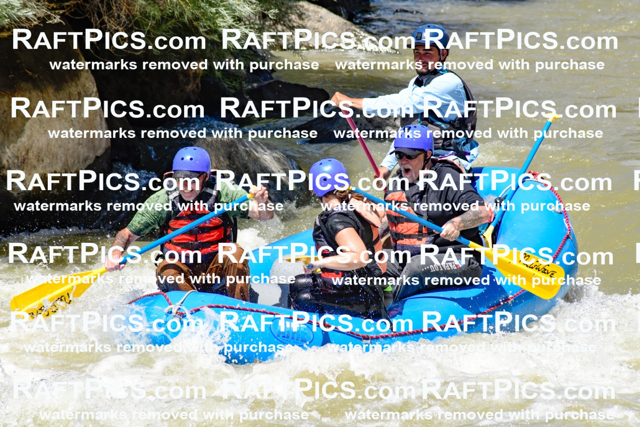 009715_Raftpics_August-18__NEW_WAVE__Racecourse_PM_KA_Rui_KLA9075