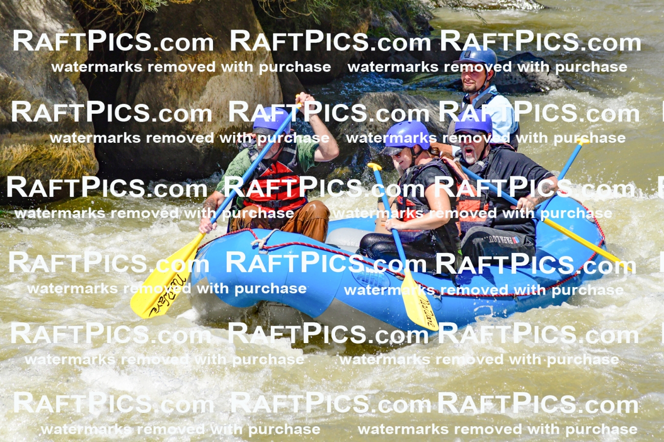 009716_Raftpics_August-18__NEW_WAVE__Racecourse_PM_KA_Rui_KLA9076