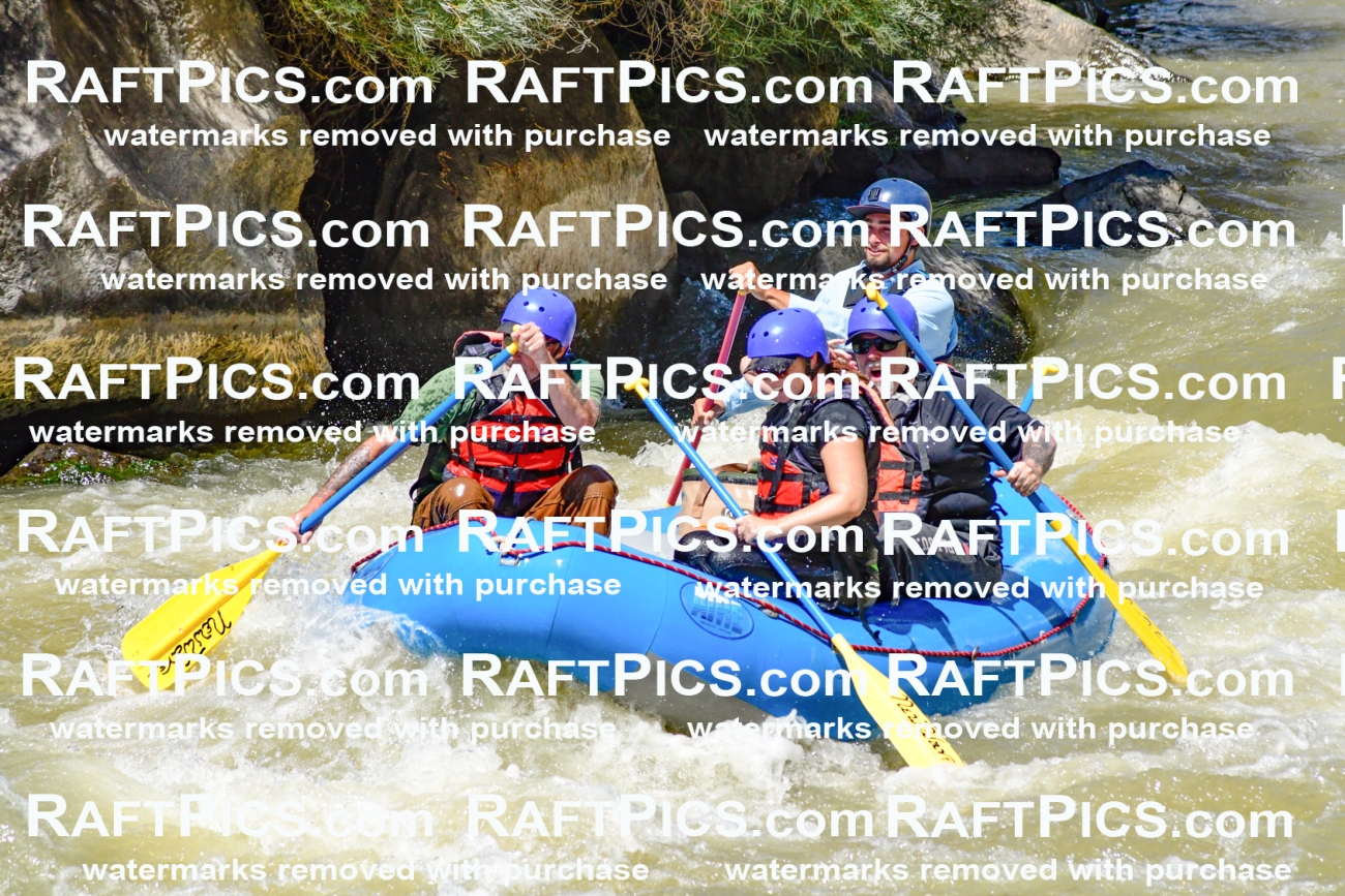 009718_Raftpics_August-18__NEW_WAVE__Racecourse_PM_KA_Rui_KLA9078