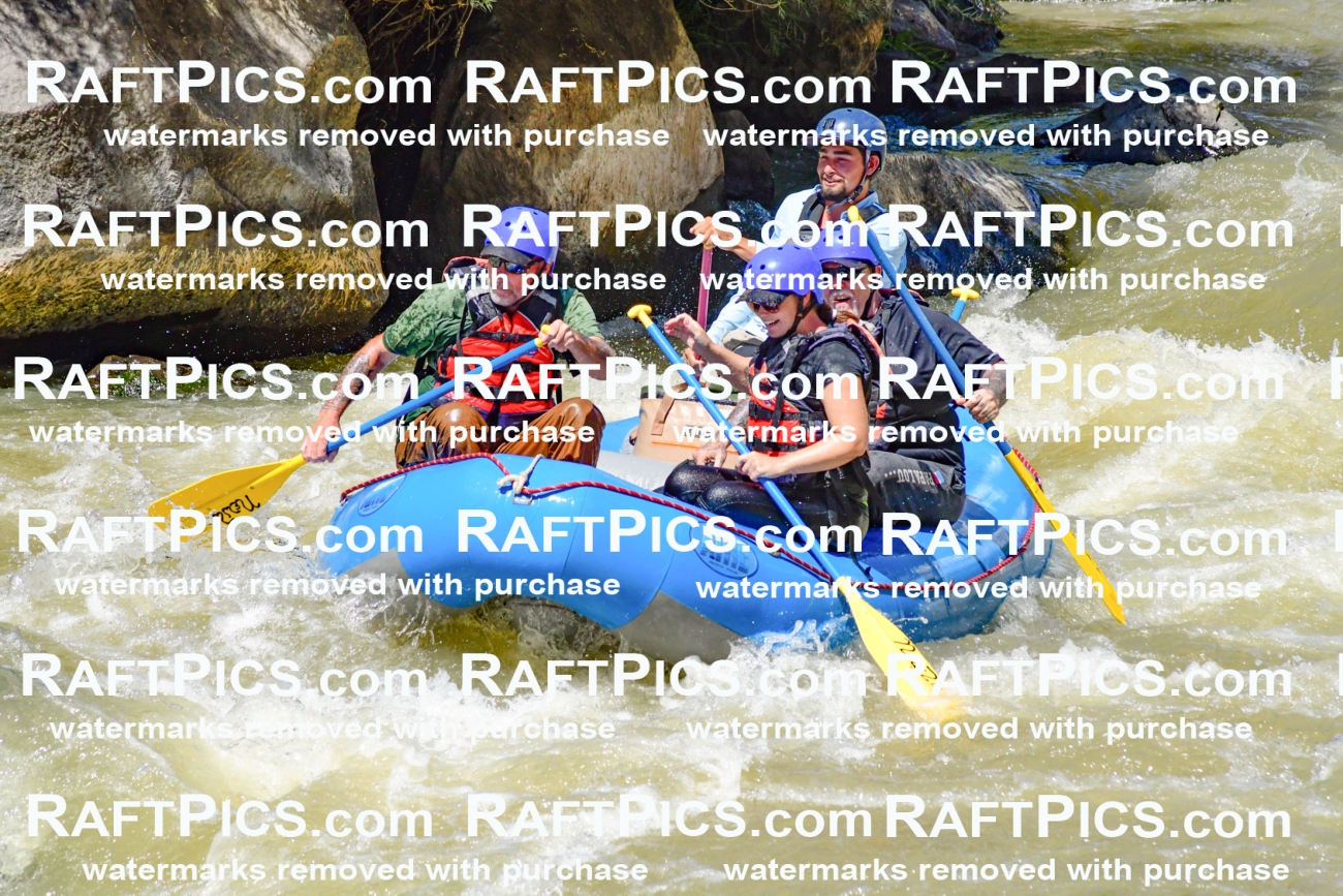 009719_Raftpics_August-18__NEW_WAVE__Racecourse_PM_KA_Rui_KLA9079