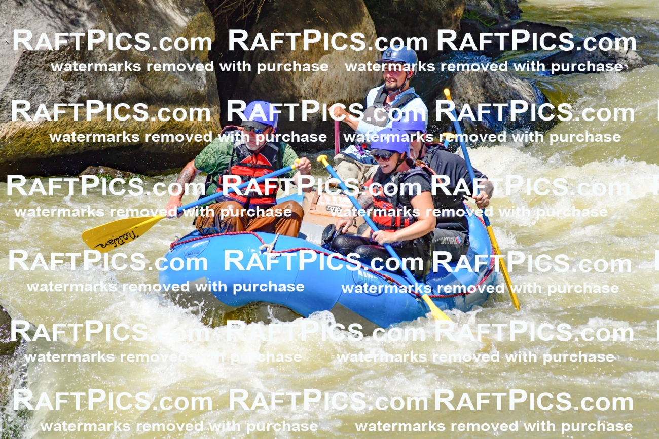 009720_Raftpics_August-18__NEW_WAVE__Racecourse_PM_KA_Rui_KLA9080