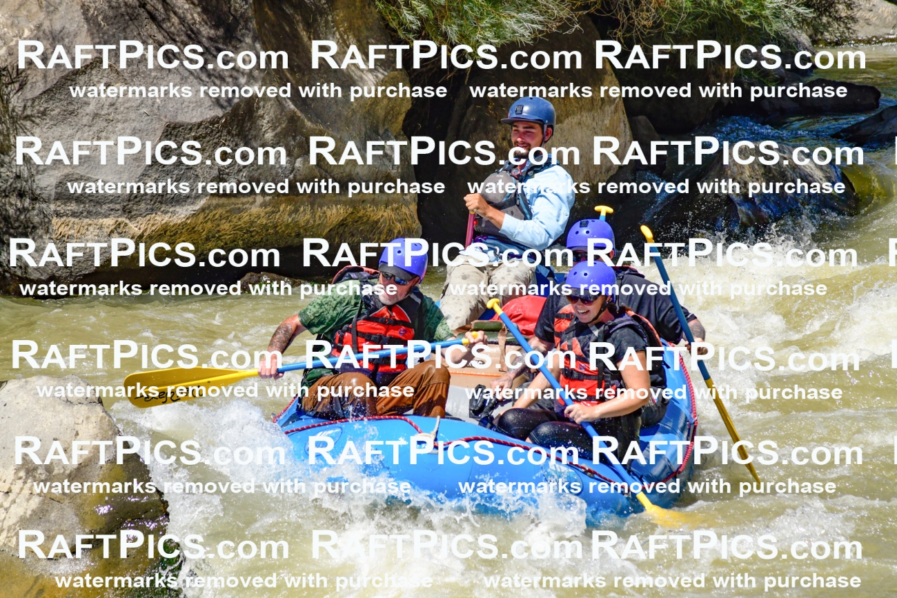 009722_Raftpics_August-18__NEW_WAVE__Racecourse_PM_KA_Rui_KLA9082