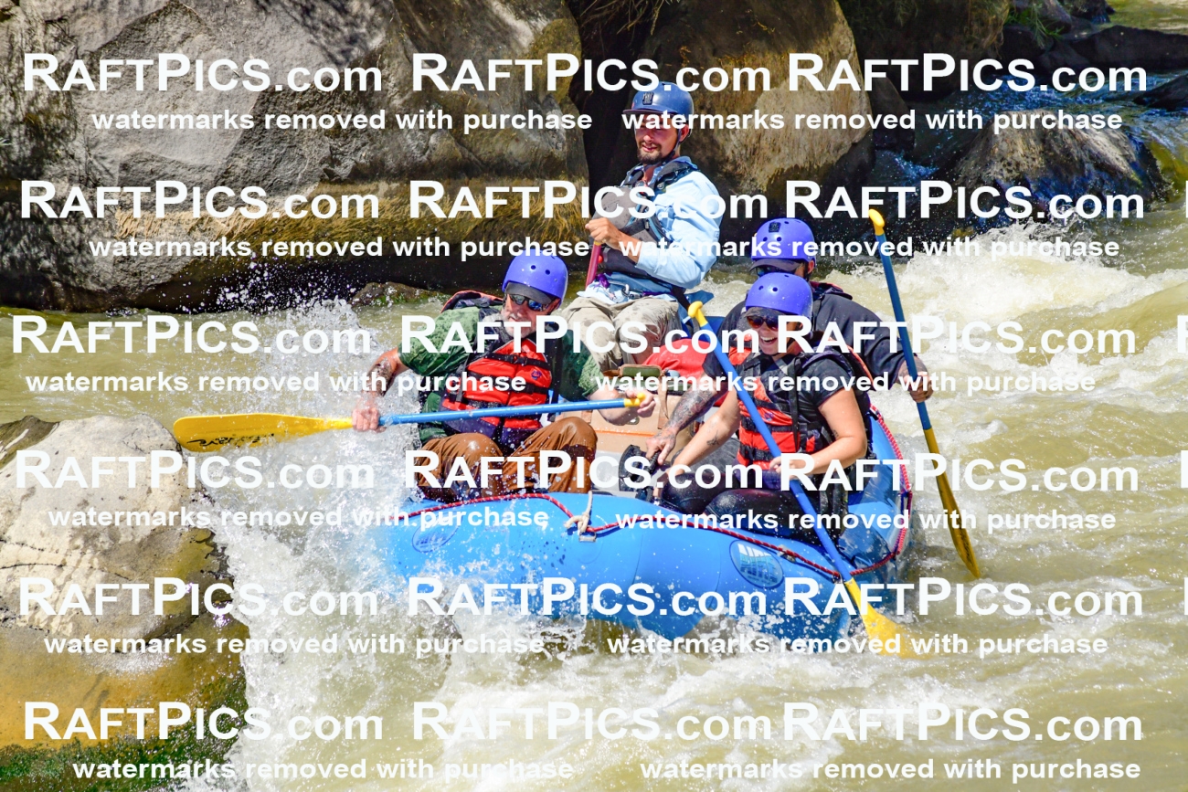 009723_Raftpics_August-18__NEW_WAVE__Racecourse_PM_KA_Rui_KLA9083