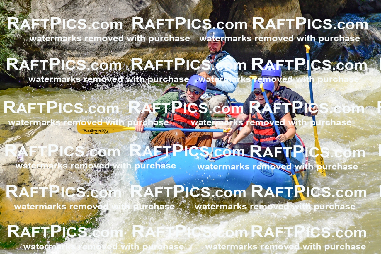 009724_Raftpics_August-18__NEW_WAVE__Racecourse_PM_KA_Rui_KLA9084