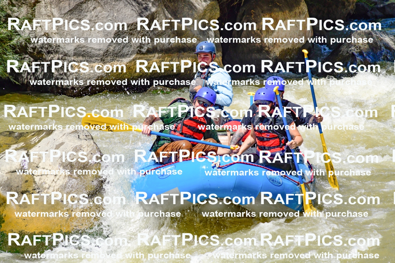 009725_Raftpics_August-18__NEW_WAVE__Racecourse_PM_KA_Rui_KLA9085