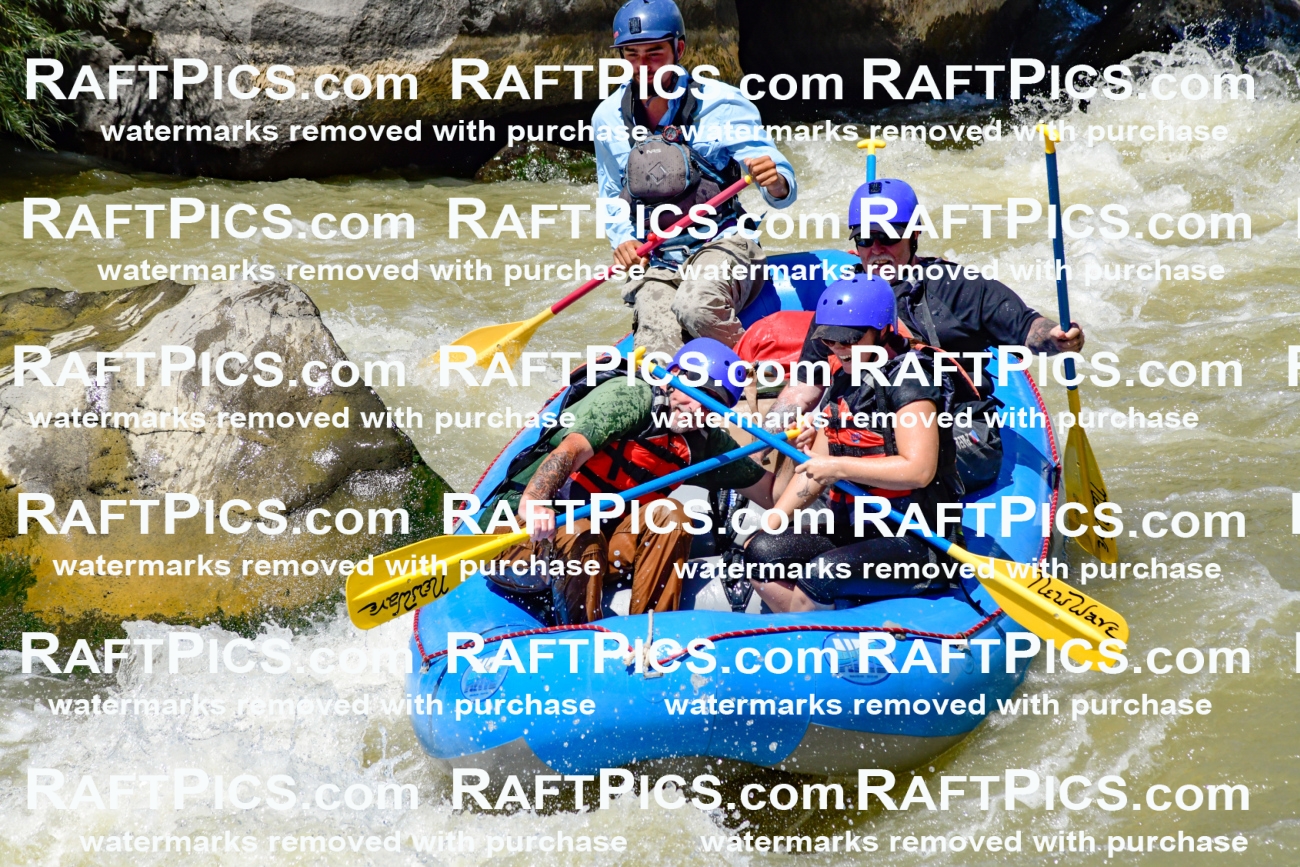 009726_Raftpics_August-18__NEW_WAVE__Racecourse_PM_KA_Rui_KLA9086