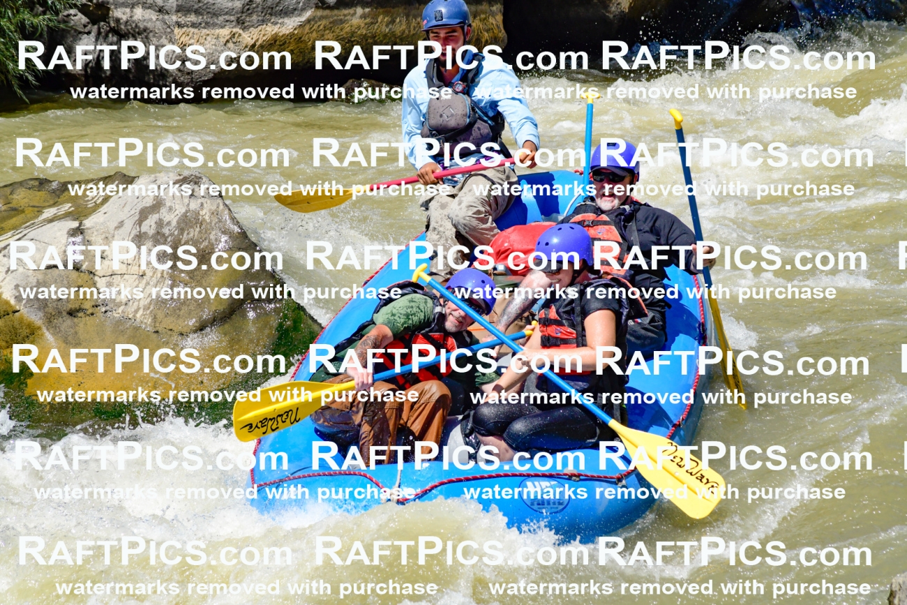 009727_Raftpics_August-18__NEW_WAVE__Racecourse_PM_KA_Rui_KLA9087