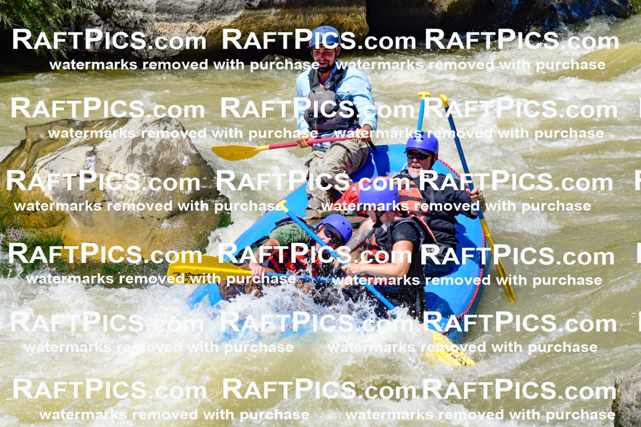 009728_Raftpics_August-18__NEW_WAVE__Racecourse_PM_KA_Rui_KLA9088