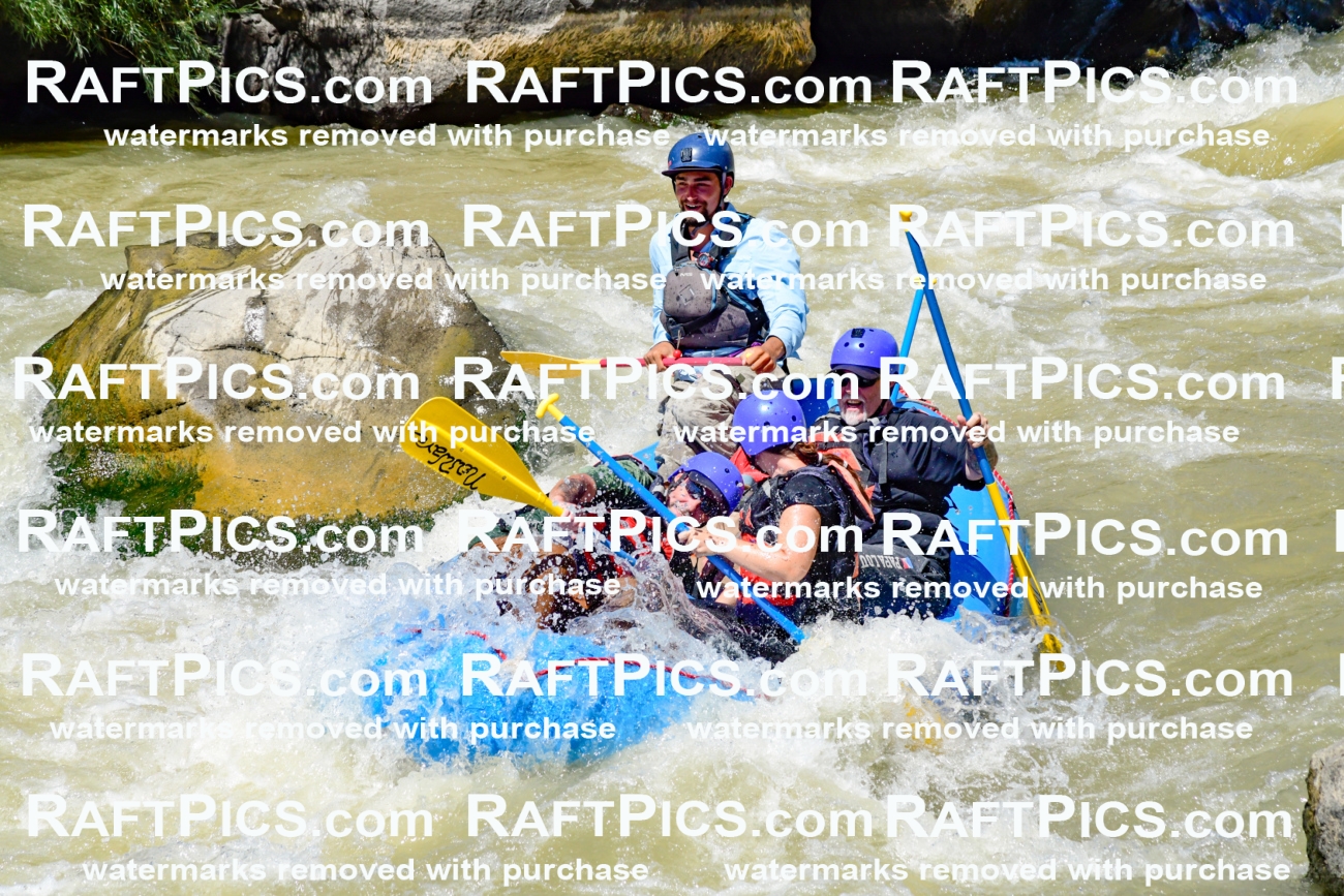 009729_Raftpics_August-18__NEW_WAVE__Racecourse_PM_KA_Rui_KLA9089