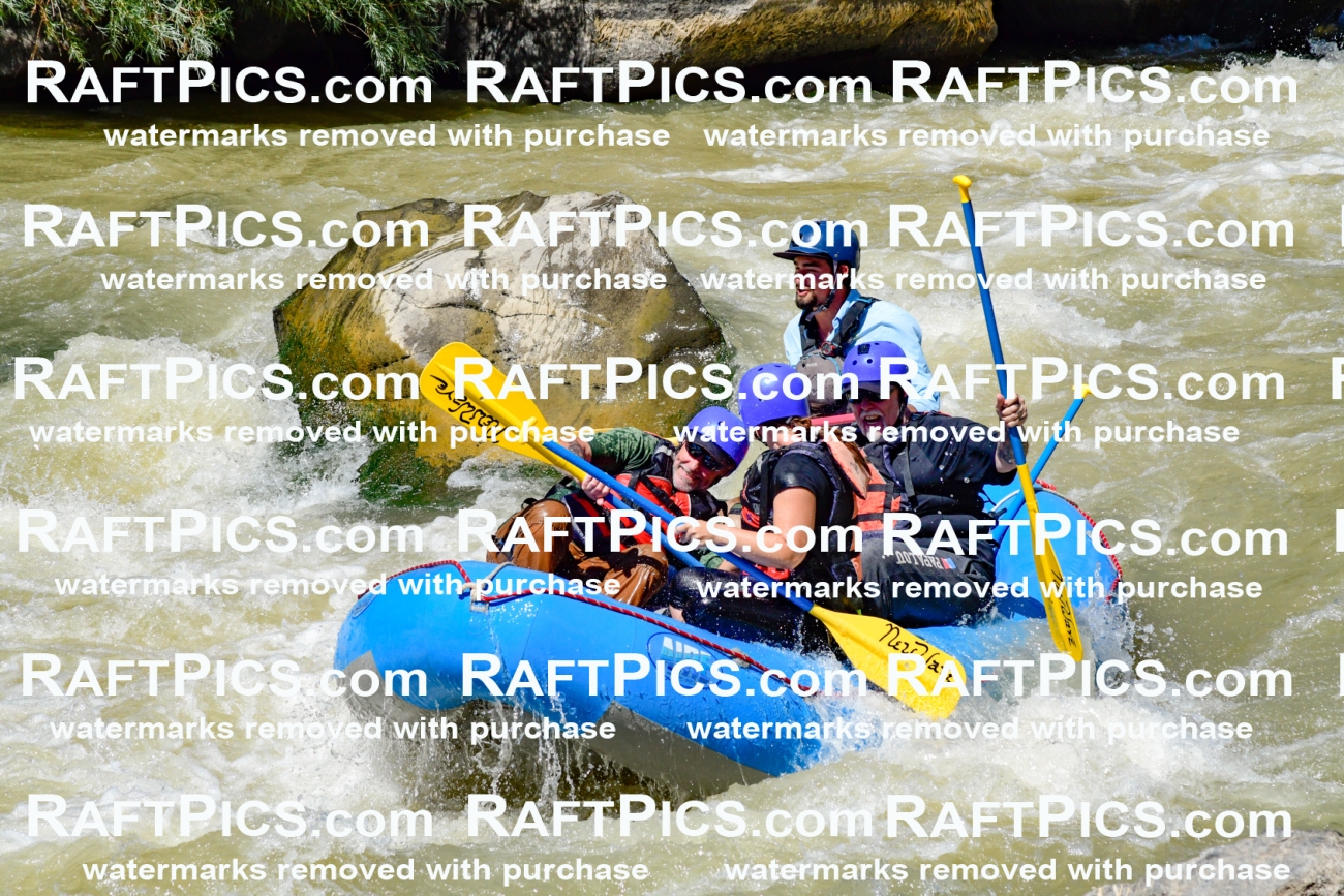 009730_Raftpics_August-18__NEW_WAVE__Racecourse_PM_KA_Rui_KLA9090