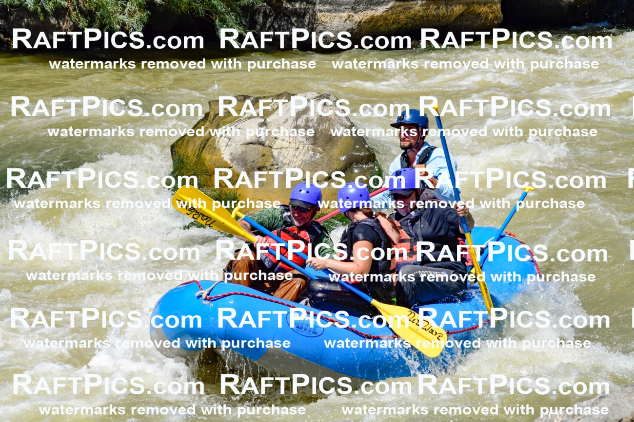 009731_Raftpics_August-18__NEW_WAVE__Racecourse_PM_KA_Rui_KLA9091