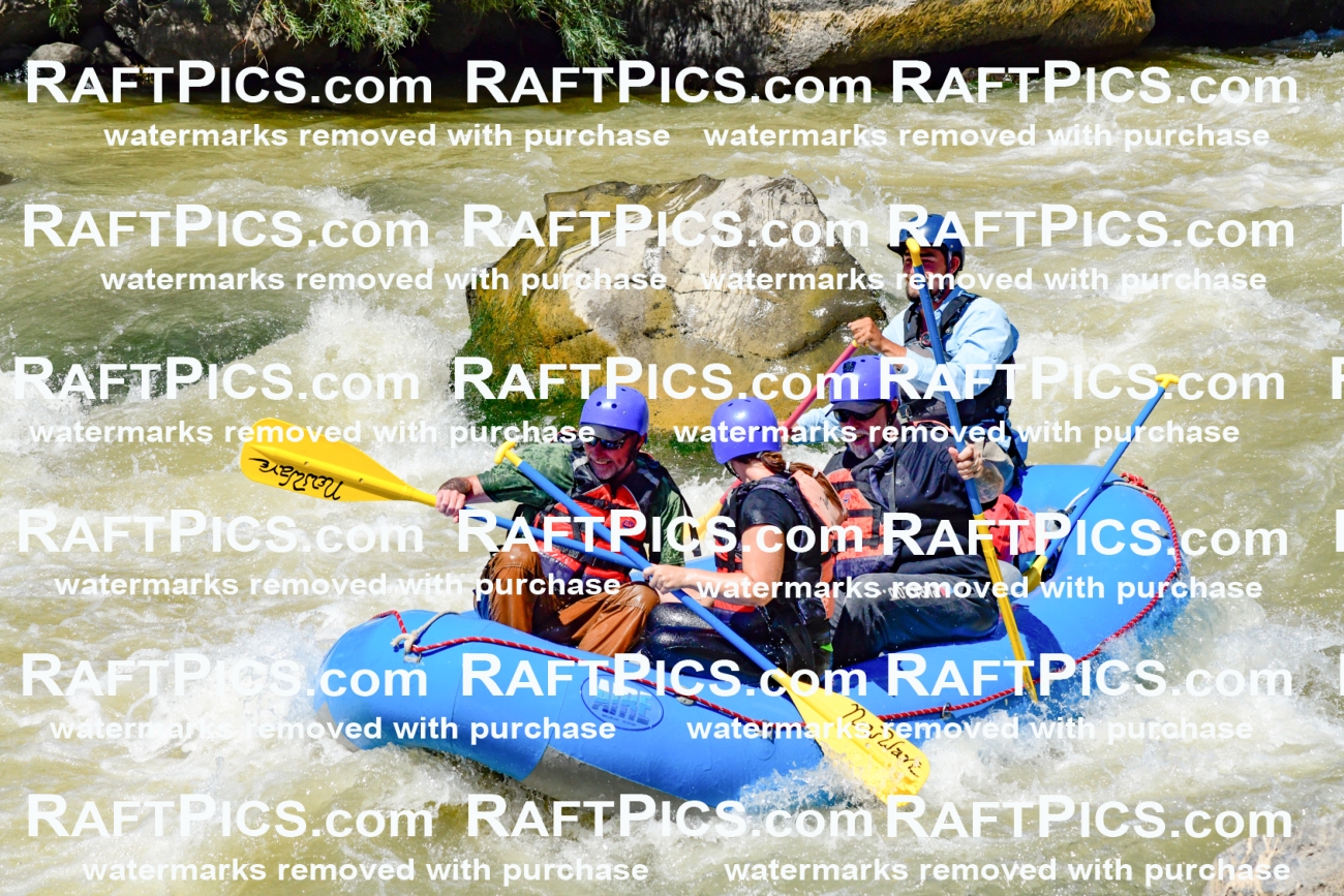 009732_Raftpics_August-18__NEW_WAVE__Racecourse_PM_KA_Rui_KLA9092