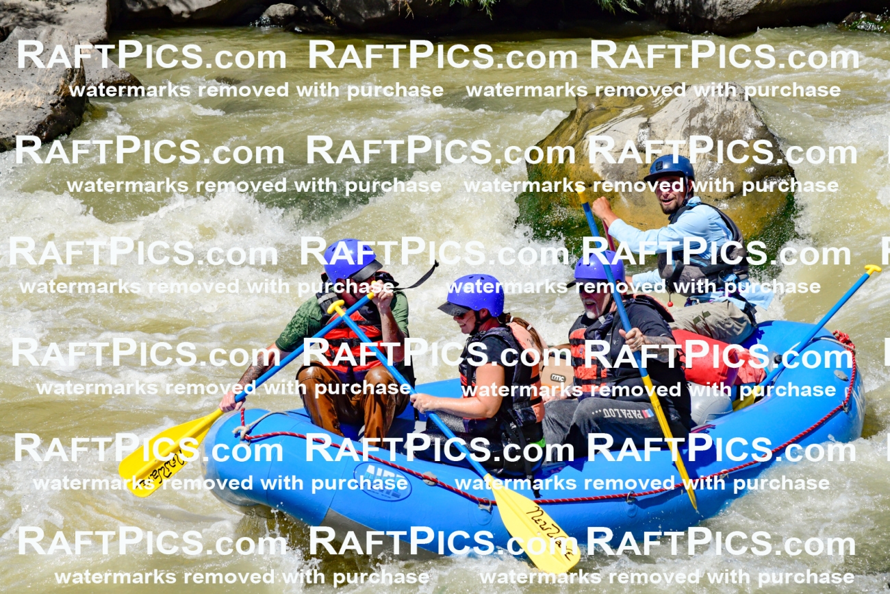 009735_Raftpics_August-18__NEW_WAVE__Racecourse_PM_KA_Rui_KLA9095