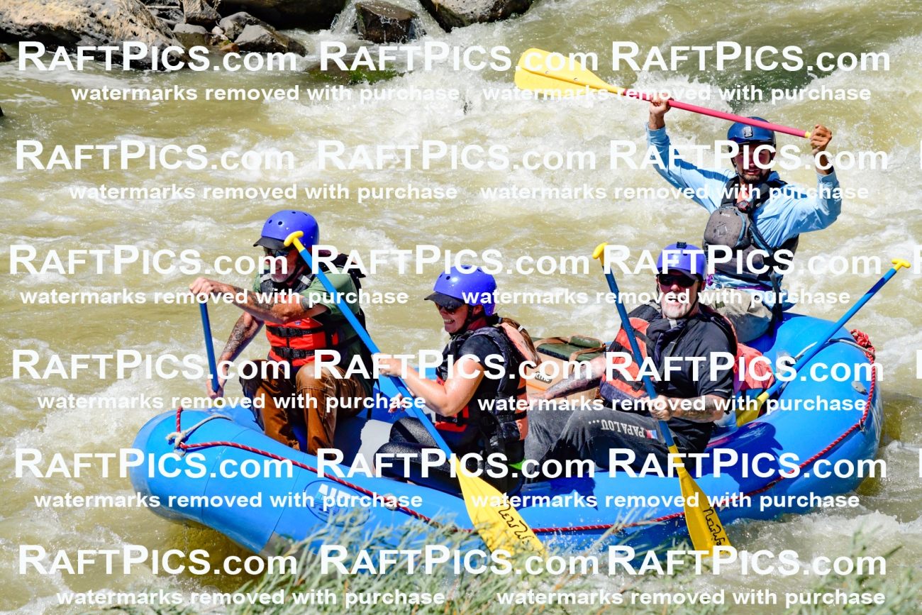 009737_Raftpics_August-18__NEW_WAVE__Racecourse_PM_KA_Rui_KLA9097