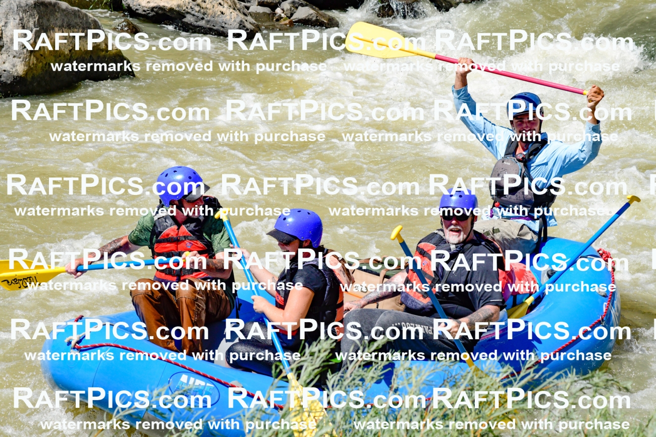 009738_Raftpics_August-18__NEW_WAVE__Racecourse_PM_KA_Rui_KLA9098