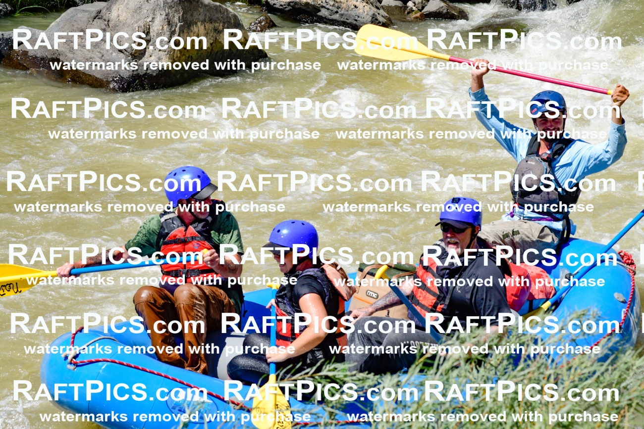 009740_Raftpics_August-18__NEW_WAVE__Racecourse_PM_KA_Rui_KLA9100