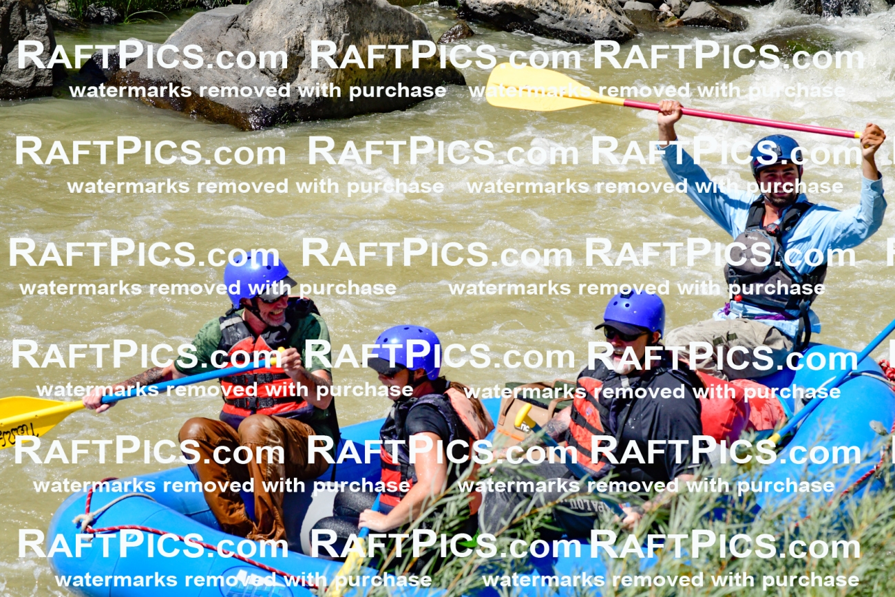 009741_Raftpics_August-18__NEW_WAVE__Racecourse_PM_KA_Rui_KLA9101