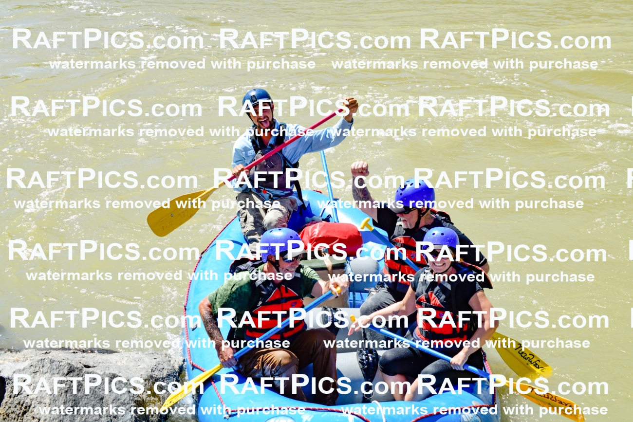 009742_Raftpics_August-18__NEW_WAVE__Racecourse_PM_KA_Rui_KLA9102