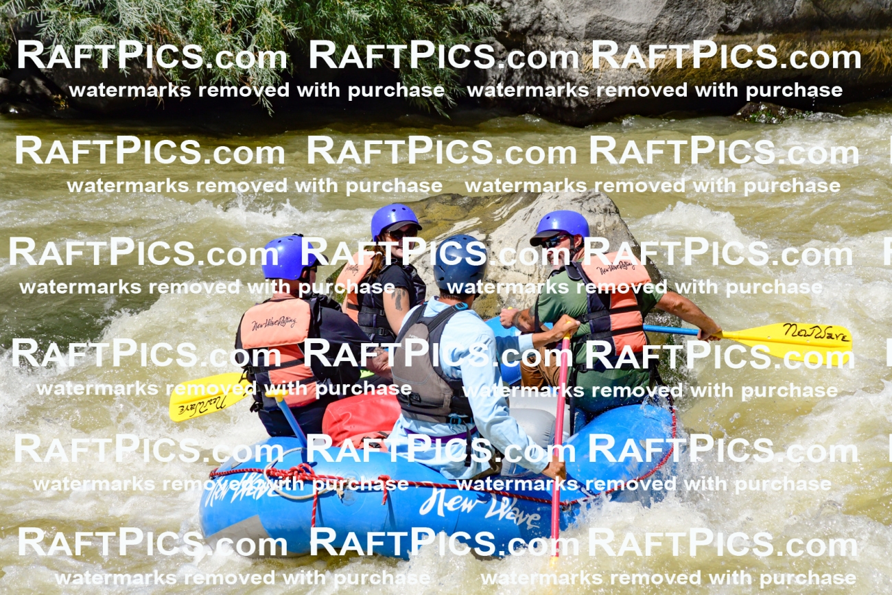 009744_Raftpics_August-18__NEW_WAVE__Racecourse_PM_KA_Rui_KLA9104