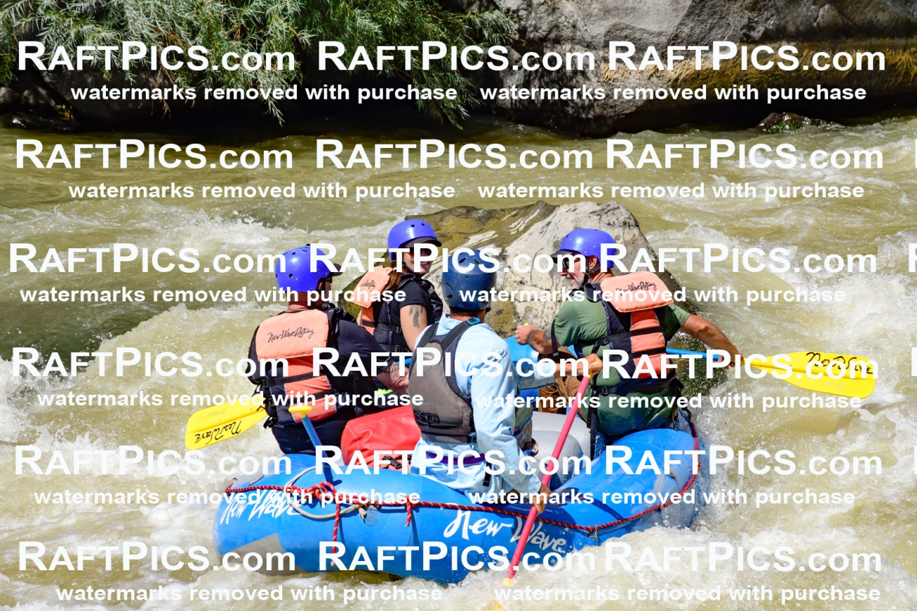 009745_Raftpics_August-18__NEW_WAVE__Racecourse_PM_KA_Rui_KLA9105