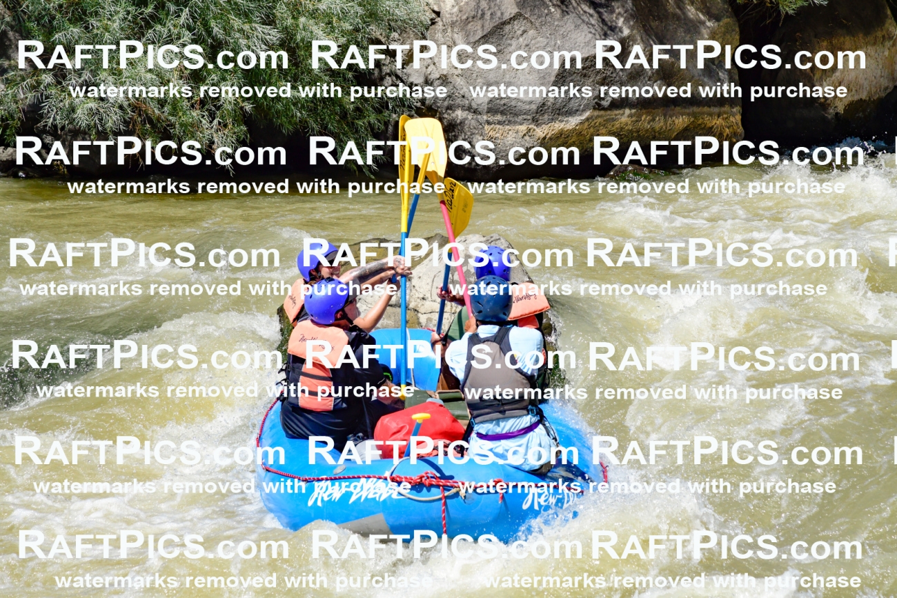 009746_Raftpics_August-18__NEW_WAVE__Racecourse_PM_KA_Rui_KLA9106