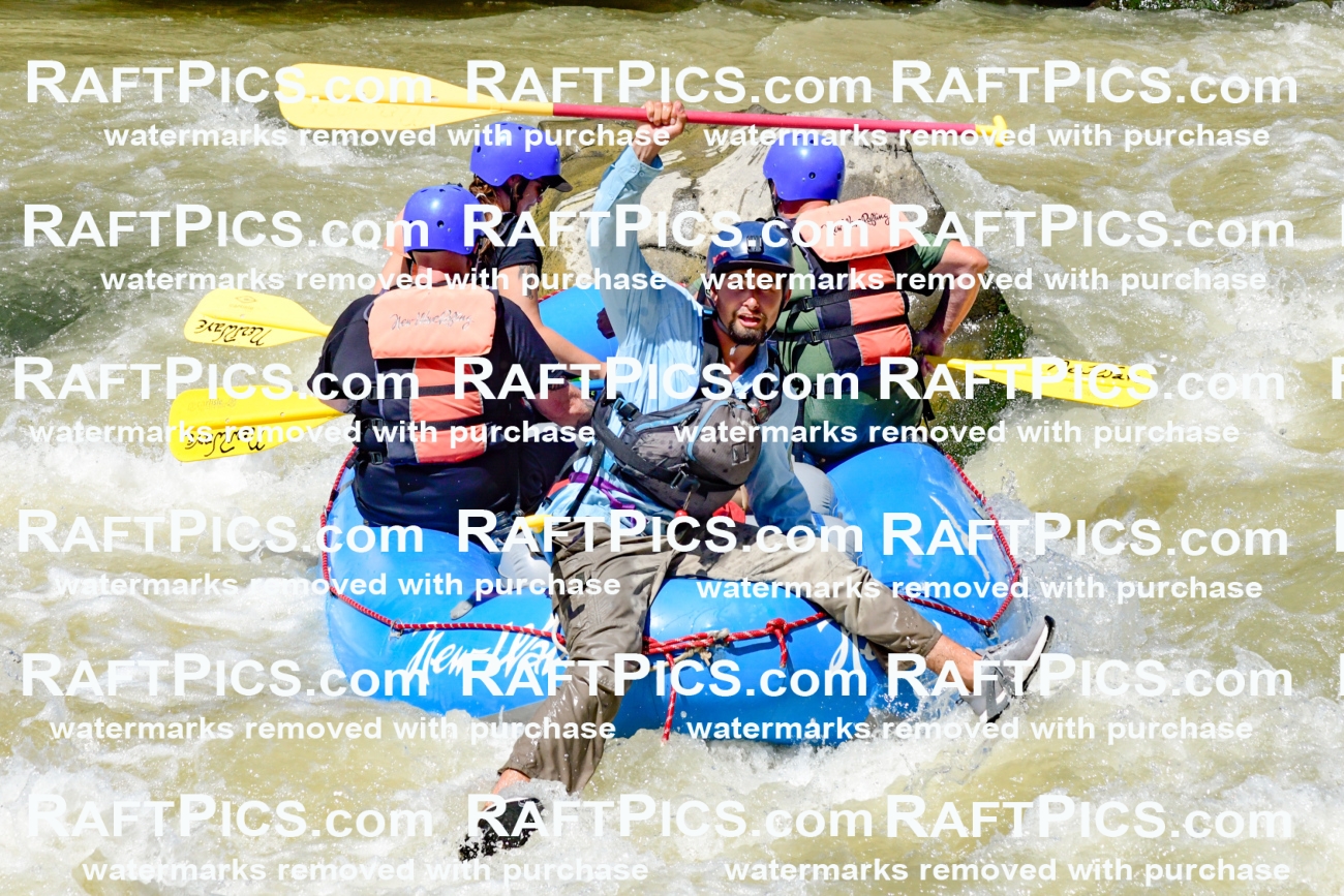 009747_Raftpics_August-18__NEW_WAVE__Racecourse_PM_KA_Rui_KLA9107