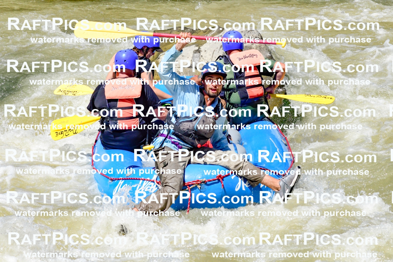 009748_Raftpics_August-18__NEW_WAVE__Racecourse_PM_KA_Rui_KLA9108