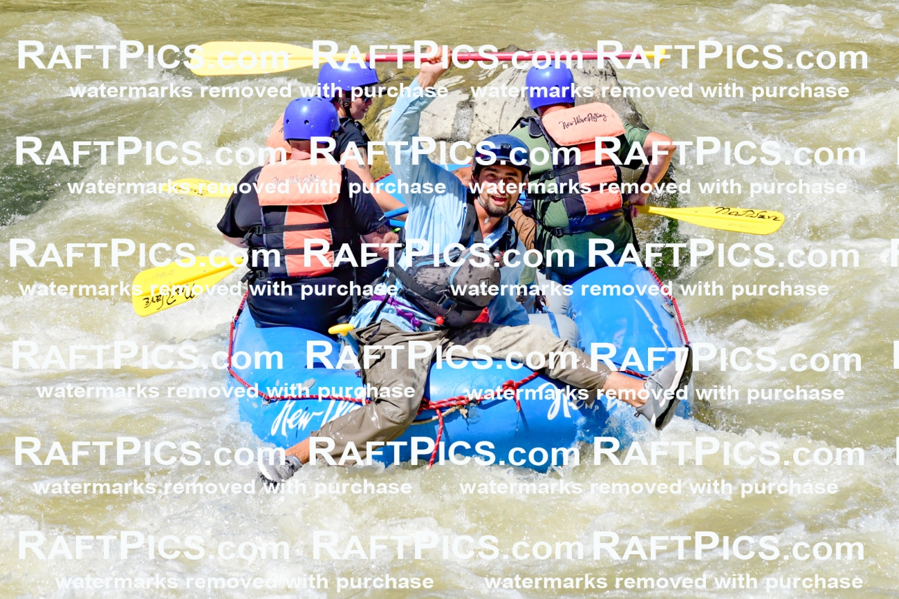 009749_Raftpics_August-18__NEW_WAVE__Racecourse_PM_KA_Rui_KLA9109