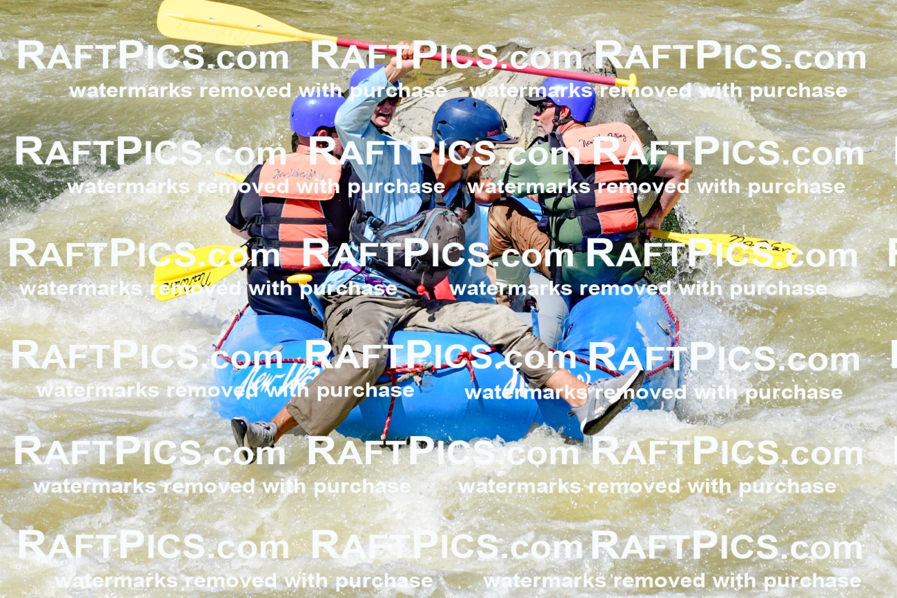 009752_Raftpics_August-18__NEW_WAVE__Racecourse_PM_KA_Rui_KLA9112