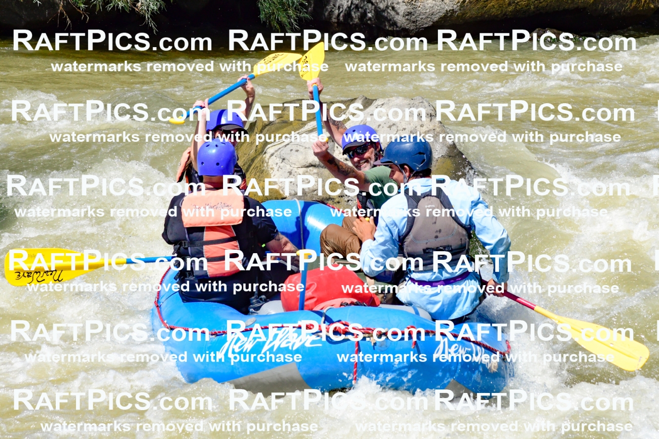 009753_Raftpics_August-18__NEW_WAVE__Racecourse_PM_KA_Rui_KLA9113