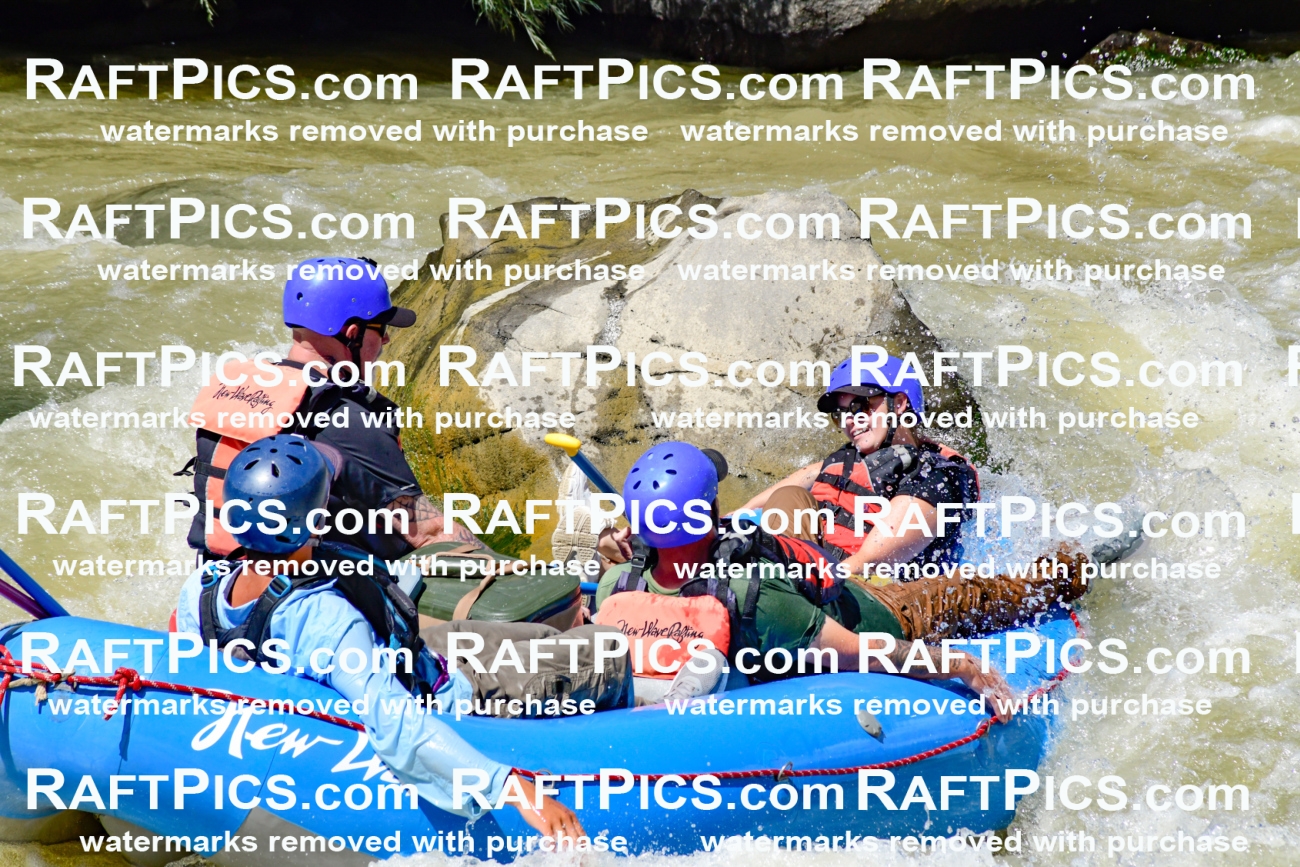 009760_Raftpics_August-18__NEW_WAVE__Racecourse_PM_KA_Rui_KLA9120