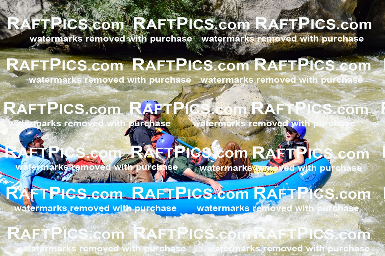 009761_Raftpics_August-18__NEW_WAVE__Racecourse_PM_KA_Rui_KLA9121