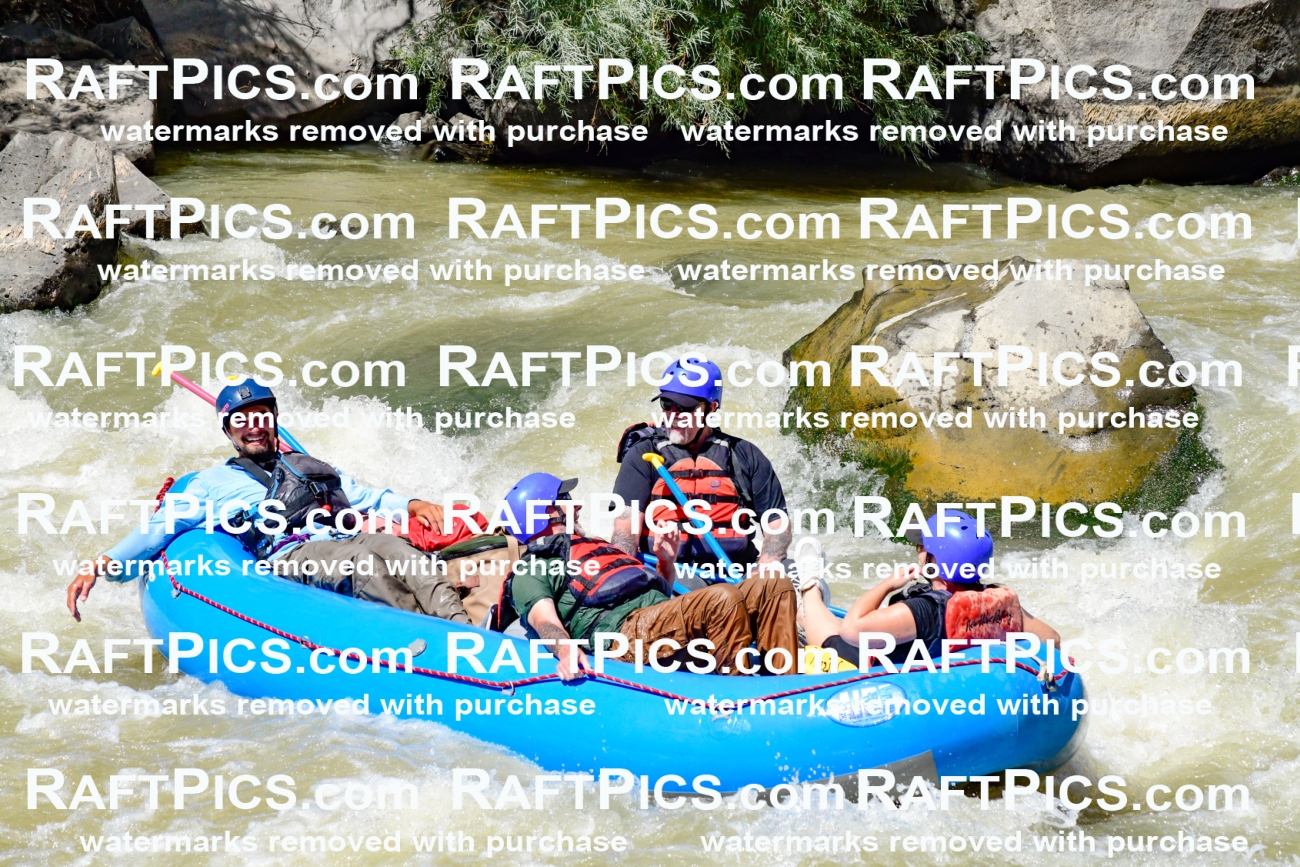 009762_Raftpics_August-18__NEW_WAVE__Racecourse_PM_KA_Rui_KLA9122