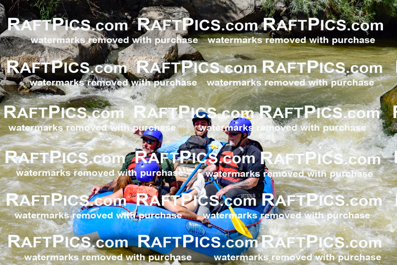 009764_Raftpics_August-18__NEW_WAVE__Racecourse_PM_KA_Rui_KLA9124