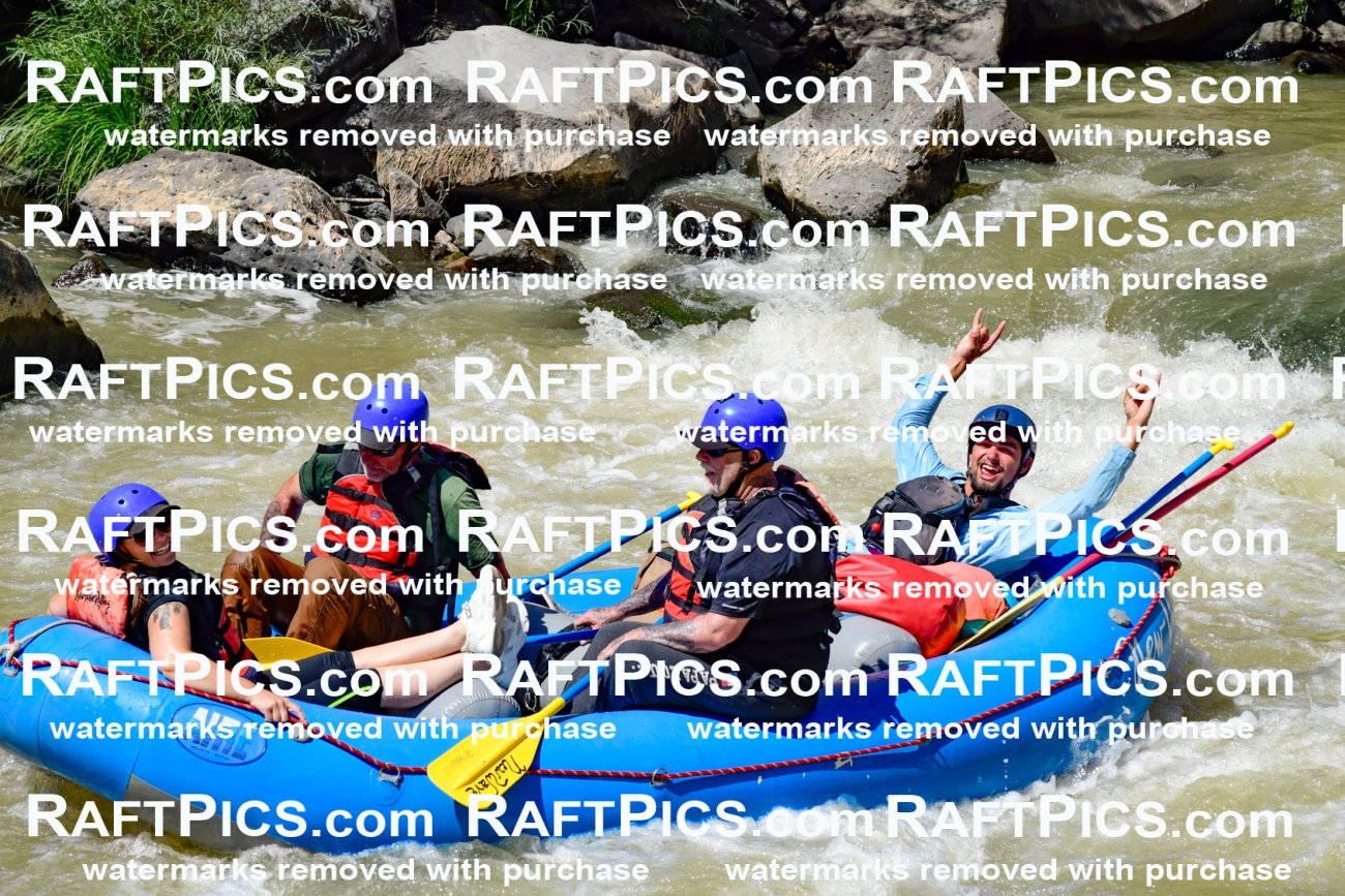 009765_Raftpics_August-18__NEW_WAVE__Racecourse_PM_KA_Rui_KLA9125